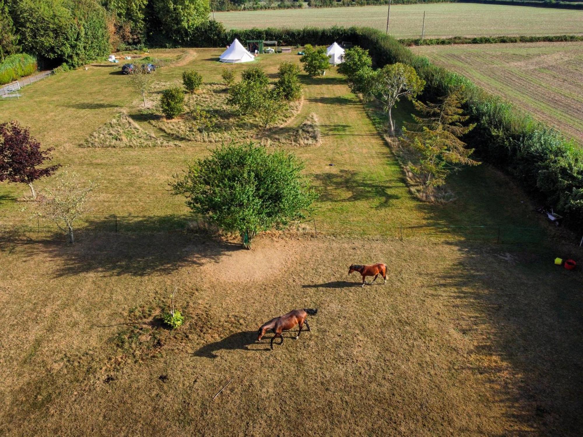 The Follies Glamping Hotell Maidstone Exteriör bild
